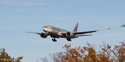 Qatar Aviation Growth Cements Its Global Hub Status